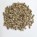 Wholesale bulk hemp seed with export  hemp seeds